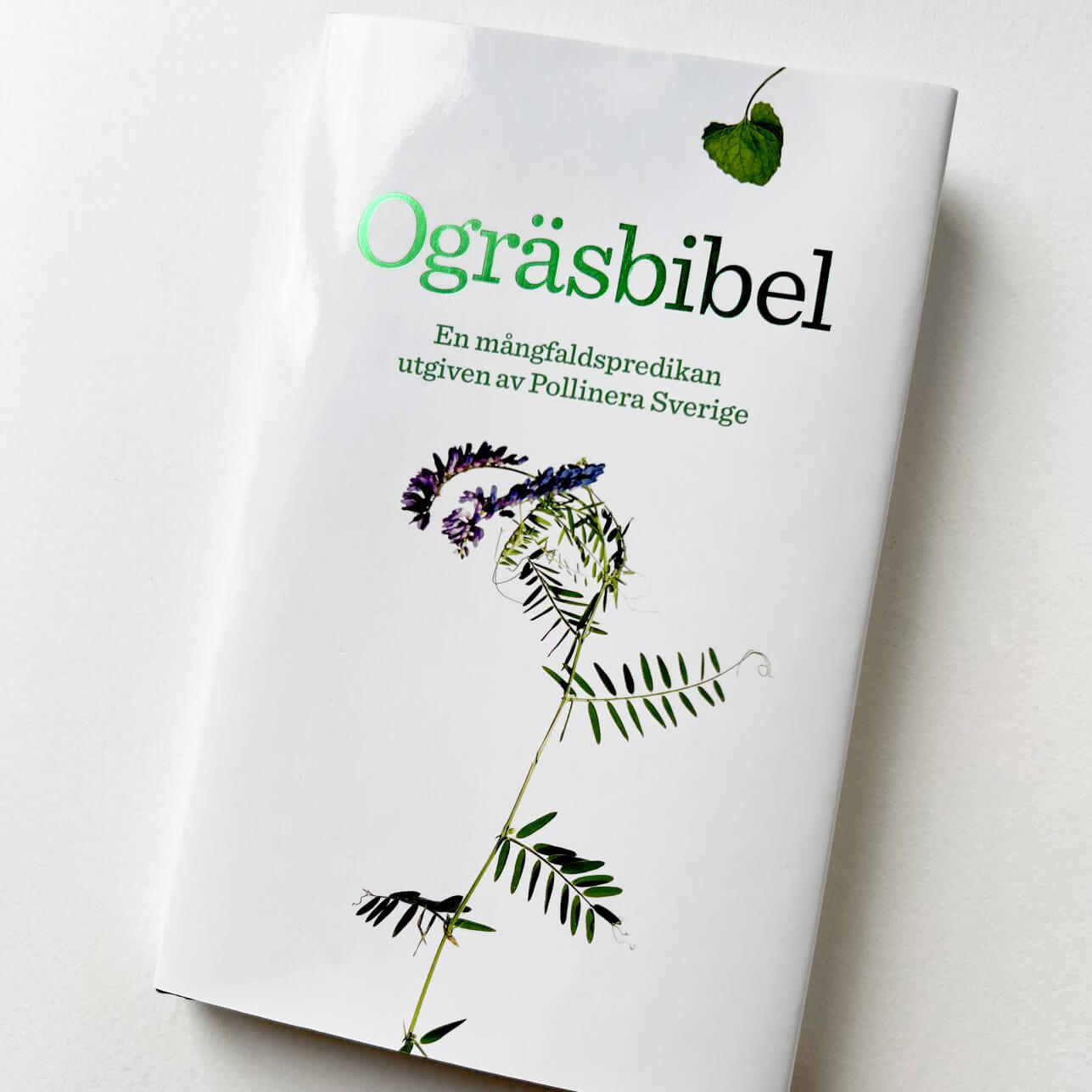 Ogräsbibel