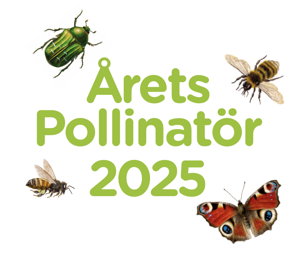 Årets Pollinatör