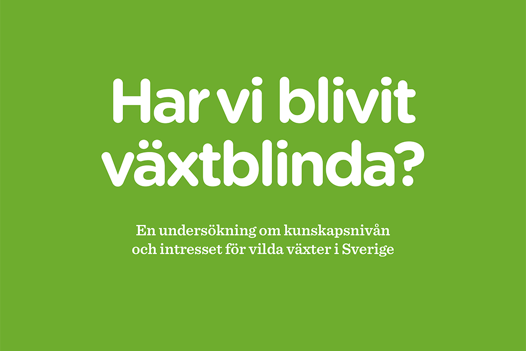 Odla kunskap panel