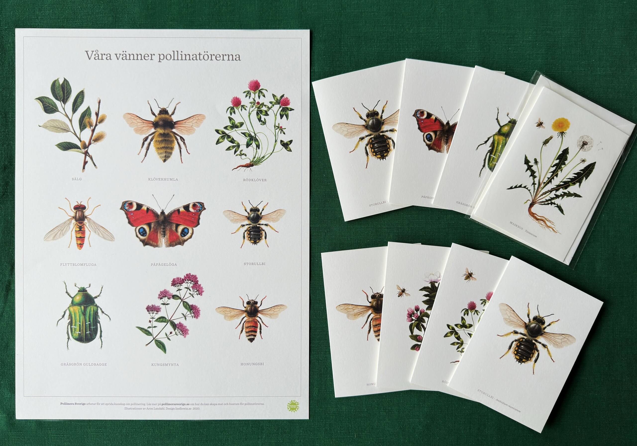 Pollinera Sverige affischer och kort