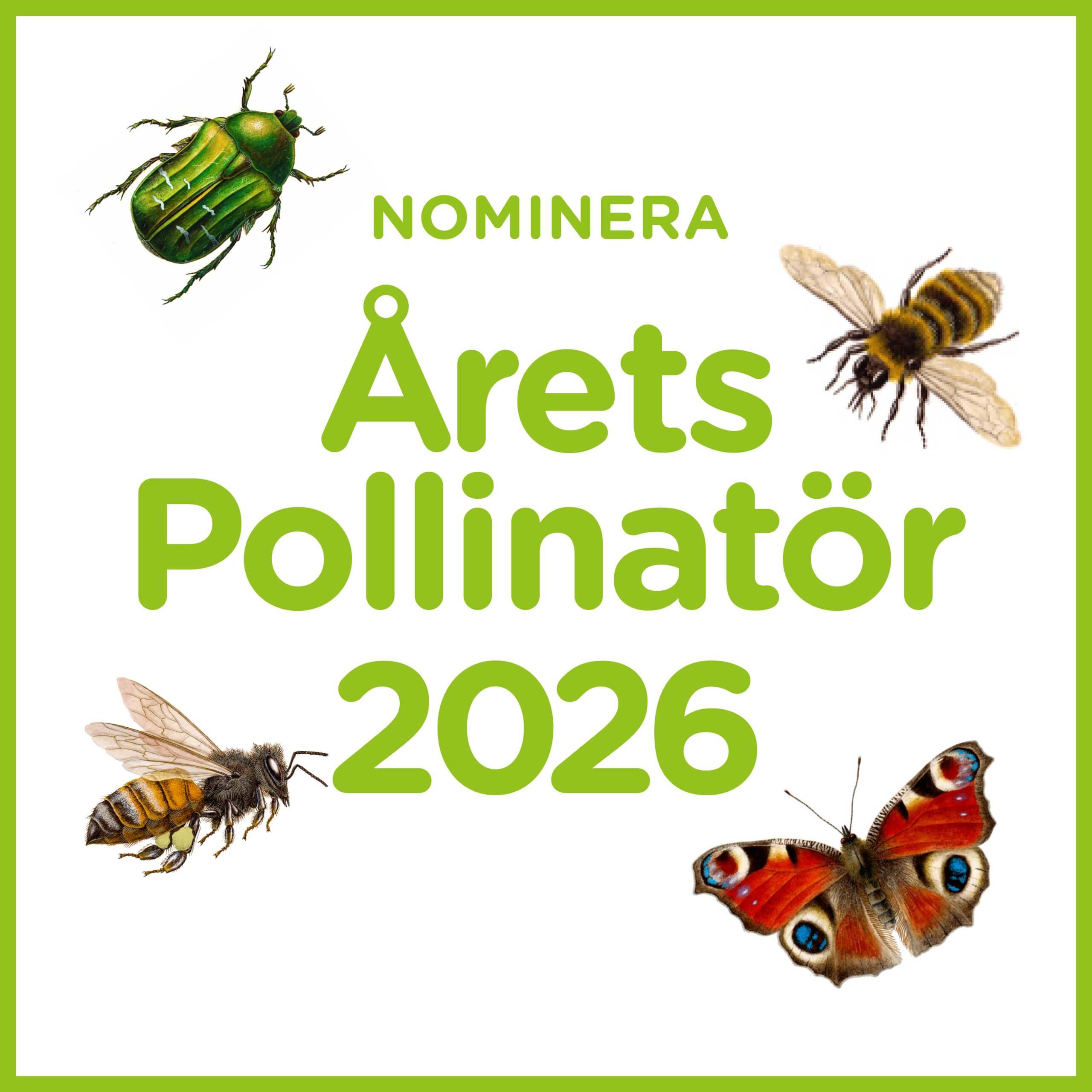 nominerade Årets Pollinatör 2026